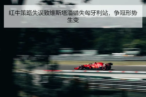 hong-niu-ce-lve-shi-wu-zhi-wei-si-ta-pan-cuo-shi-xiong-ya-li-zhan-zheng-guan-xing-shi-sheng-bian-2-371.jpg
