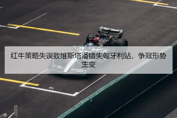 hong-niu-ce-lve-shi-wu-zhi-wei-si-ta-pan-cuo-shi-xiong-ya-li-zhan-zheng-guan-xing-shi-sheng-bian-3-538.jpg