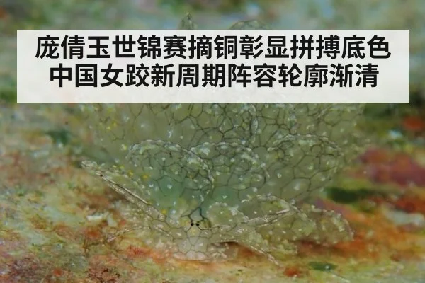 庞倩玉世锦赛摘铜彰显拼搏底色 中国女跤新周期阵容轮廓渐清