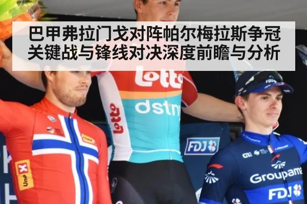 巴甲弗拉门戈对阵帕尔梅拉斯争冠关键战与锋线对决深度前瞻与分析